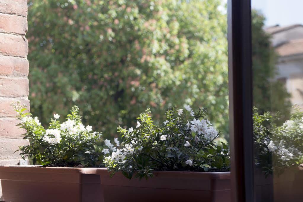 Zen Room Ferrara Eksteriør billede
